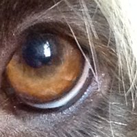 Mollyjojo (@mollyjojoc) 's Twitter Profile Photo Mollyjojo (@mollyjojoc) 's Twitter Profile Photo