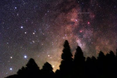 nagayo1's profile picture. My imagination