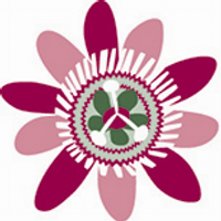 Paz y Flora (@paz_y_flora) 's Twitter Profile