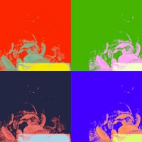 RealRositaFonseca (@califquail1969) 's Twitter Profile Photo RealRositaFonseca (@califquail1969) 's Twitter Profile Photo