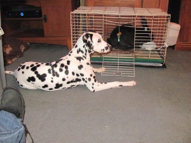 lisa43207's profile picture. 