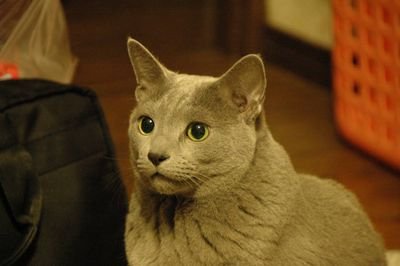 winners999777's profile picture. 