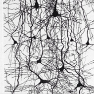 Naturally-aspirated mind.
