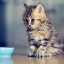 Olivia Staley - @olivia_staley - Twitter