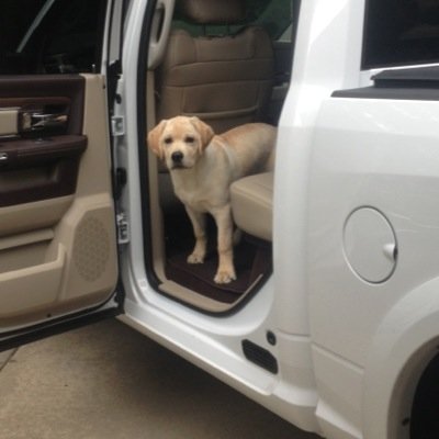 redman4144's profile picture. 