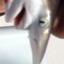 Peyton Hodges - @xCuBicaLx - Twitter