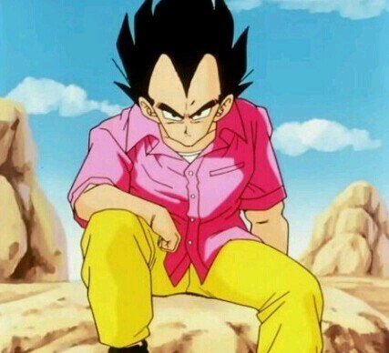 niggas gonna hate cuz im the prince of all sayians