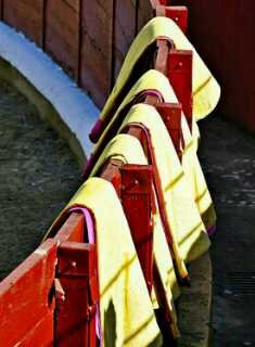 FToreras's profile picture. recoleccion de fotografía taurina Nitrograph