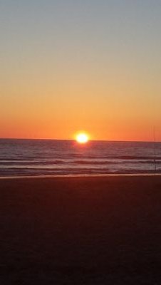 sylviassss's profile picture. CARPEM DIEM.... VIVE Y DEJA VIVIR.... :-D