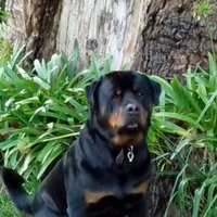 KENNY CLARKSON (@kennyclarkson2) 's Twitter Profile