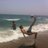 CarlosRoman_22's profile image
