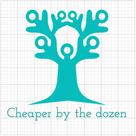Today's society is becoming more and more geared towards families with 1 or 2 children, but what about those of us who live in large families?