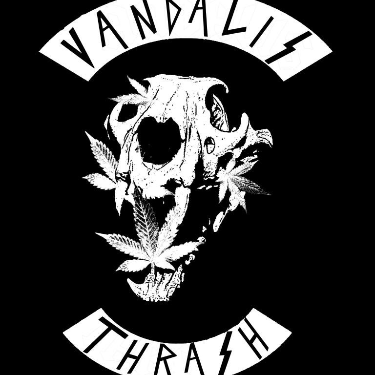Salatiga Thrashmetal | Coming soon our first single |  Youth Grinder Syndicate