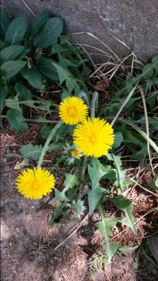 jyung1531's profile picture. 