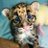 AnimalGifs_'s profile image