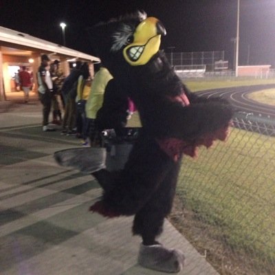 flashdafalc Profile Picture