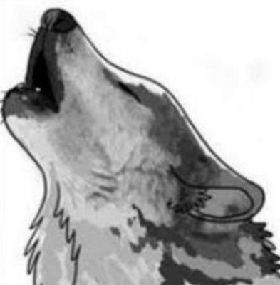 ParantiBabaung's profile picture. used to be Music Program @parantifm Indie Music now we're in hiatus, but we'll keep the underground roots to stand & grow