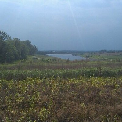 skylineroad's profile picture. 