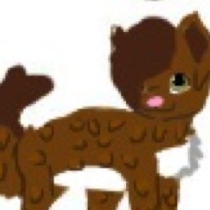 Hi! I'm Dragonkit but i dont have a clan. I love to chase butterflies and play! #openRP #single #warriorcats