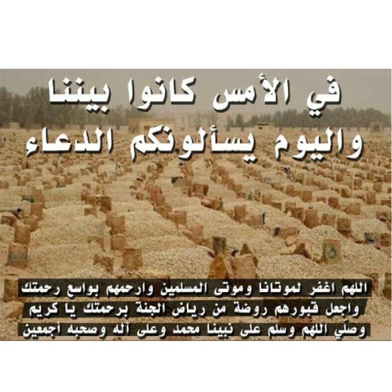 حسن محيا حسن الرشدان المصارير الله يغفرله ويرحمه لاتنسونه من دعأئكم اللهم ارحم ضعف موتانا وقلة حيلتهم وارحمهم واعفو عنهم .
