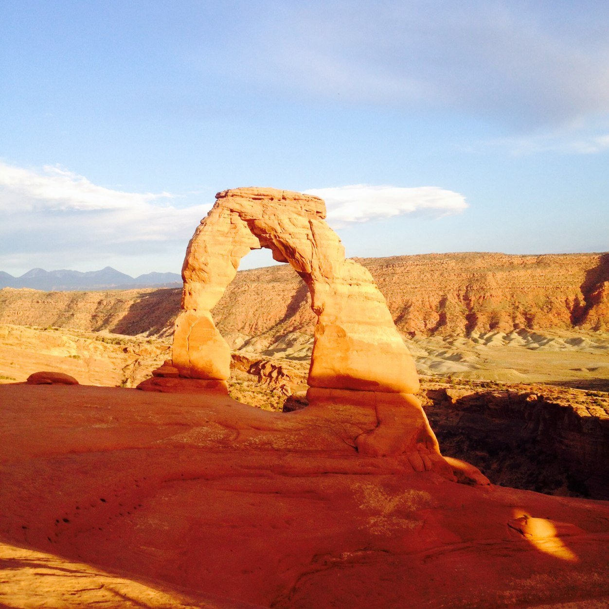 NotoriousTXPIG's profile picture. 