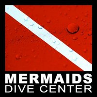 Mermaids Dive Center PADI 5 Star CDC (@mermaidsdive) 's Twitter Profile