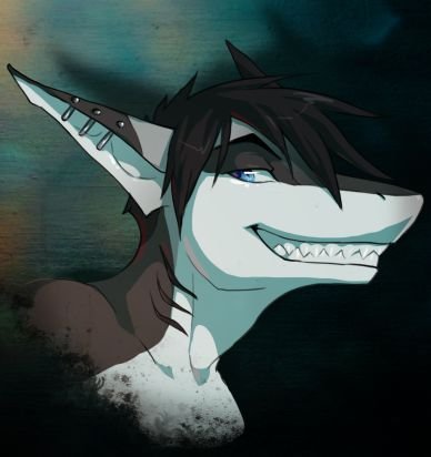 Hi im Riptide yes im a shark but i dont bite much / single/ Straight/18+RP/12 In cock/i love it rough/