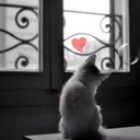 ❣ る 。 (@00113ru) Twitter