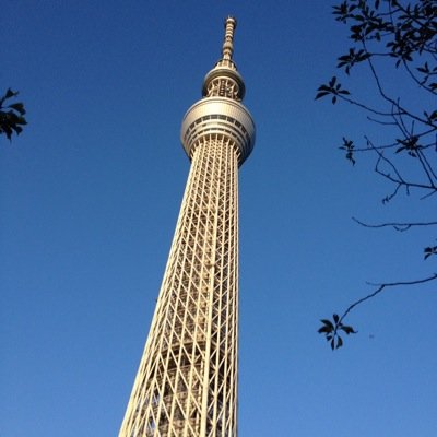 ぶーちゃん