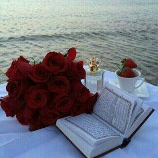 azozh210's profile picture. . لا بأس بأن لا يفهم الأخرون عفويتنا ، المهم أن يكون ضميرنا مرتاح ~o)