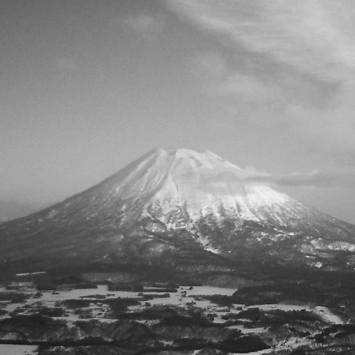 studio343jp's profile picture. 