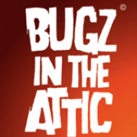 bugz in the attic(@bugzintheattic) 's Twitter Profileg