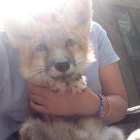 ayackle (@kaaaassuu) 's Twitter Profile Photo ayackle (@kaaaassuu) 's Twitter Profile Photo