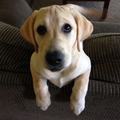 J_A_P_IV's profile picture. Struggling makes you stronger. Never forget your past.