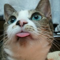 JanBennandantey (@earlglaysilver) 's Twitter Profile