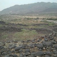 ناصر (@naser68393089) 's Twitter Profile