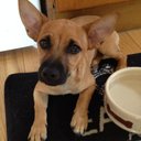 Christina Hunter - @omachristina - Twitter