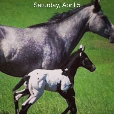 CarterHeinz's profile picture. 