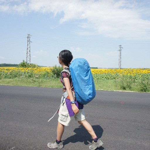 ''But the beauty is in the walking - we are betrayed by destinations'' / 불량한 부부의 한국 도보 종횡기 http://t.co/4KKkxaKkGM