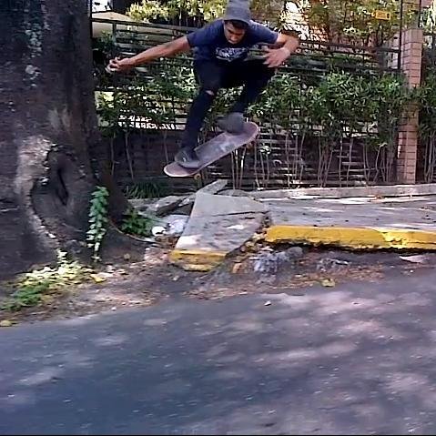 Live to skate