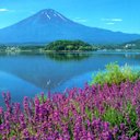 fern love - @loveyou_fern - Twitter