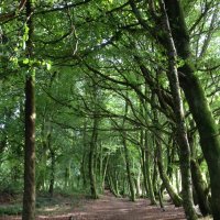 Sophie Casals (@sophiecasals) 's Twitter Profile Photo