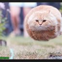 Andrew Brownell - @caraudionut - Twitter