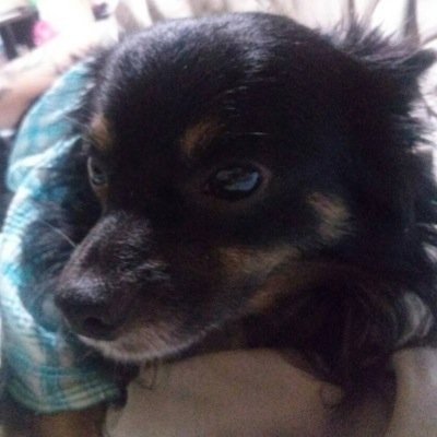 S&D民です。基本AR使ってます時々SRを使います まだまだ未熟ですがフォローよろしくお願いします