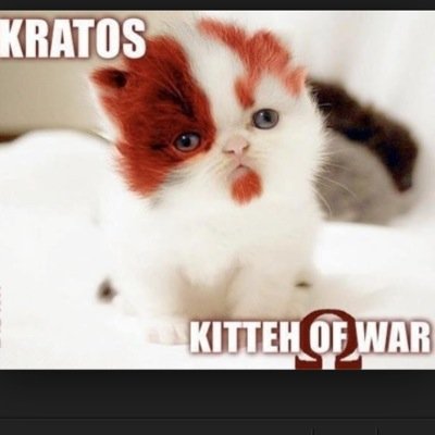 Kratos kitty of war