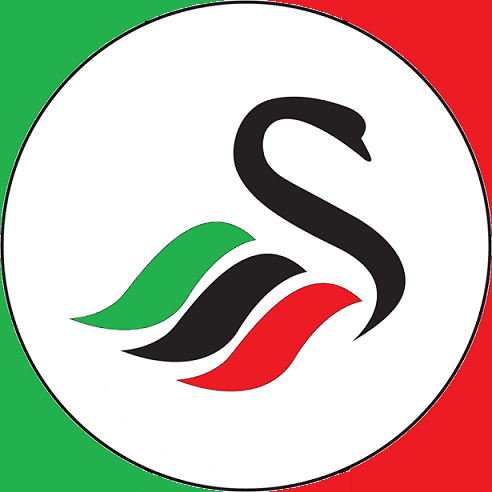 Swansita's profile picture. Not just another Football Club, Our Club. https://t.co/xEpzavkAf2