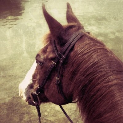 LudingtonMary's profile picture. Biosphere lover.  "Nature bats last, bottom of the 9th."  "It's not a political problem, it's a Homo sapiens problem."  Author, "The Nature of Dogs".