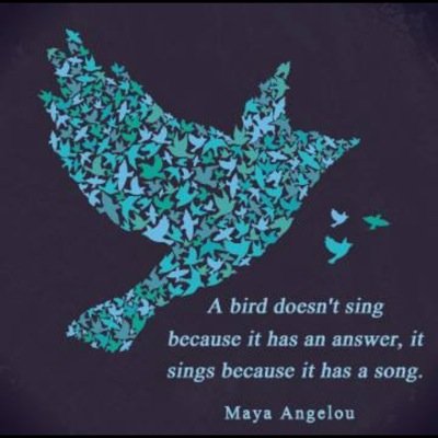 SRobocker's profile picture. 