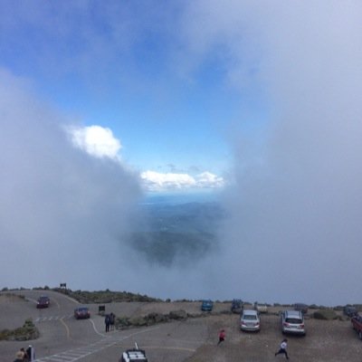 ShawnValliere's profile picture. 