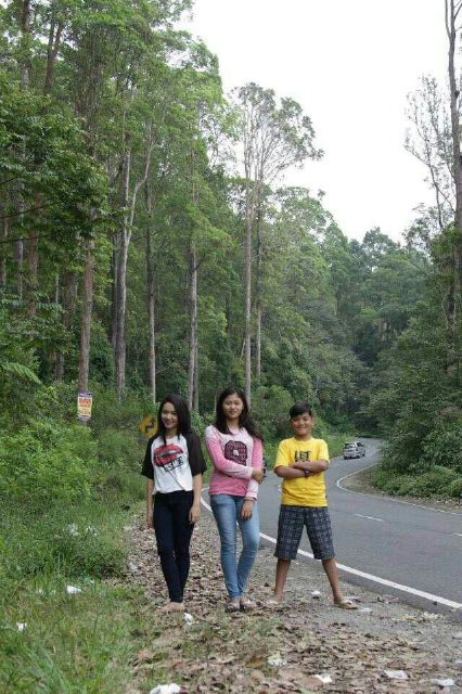 Raenittalfiyan's profile picture. Journey.